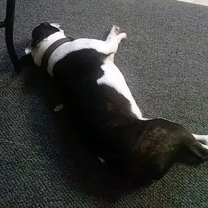 Meet your Posher, Jay